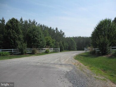 0 Governors Point Ln unit 1004628938, Unionville, VA 22567 - photo 2