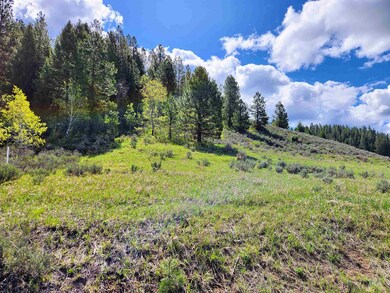 TBD Lantern Way, Cascade, ID 83657 - photo 3