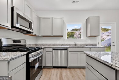 4 Cove Rd, Chickamauga, GA 30707 - photo 5