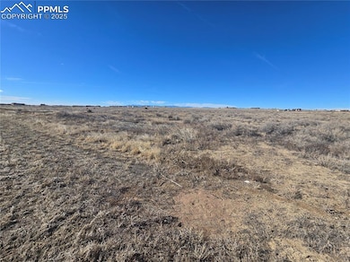 1483 N Gantts Fort Ave, Pueblo West, CO 81007 - photo 5