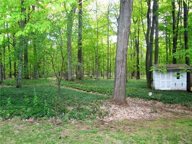 Shed in backyard