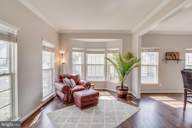 43484 Quentin St, Chantilly, VA 20152 - photo 3