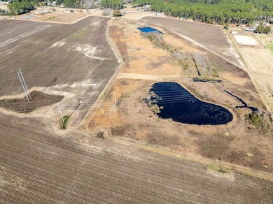 0 Brighton Rd, Abraham Baldwin College, GA 31794 - photo 3