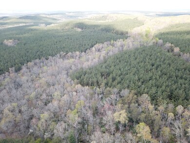 0 Thomas Springs Rd unit 204233, Crossville, TN 38572 - photo 5