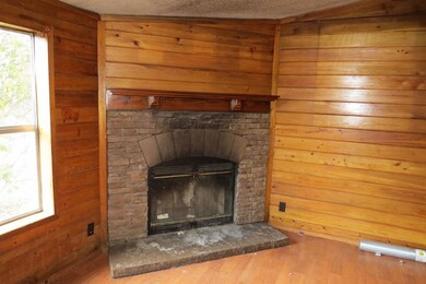 644 Jaybird Helena Rd, Helena, GA 31037 - photo 5