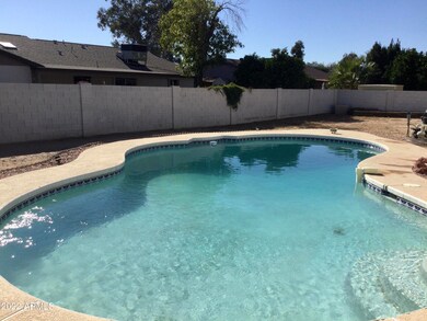 Large Backyard