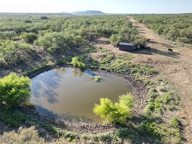 unlisted-address, Coleman, TX 76834 - photo 4
