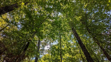 Lot 11 Riverbend Rd, Mammoth Spring, AR 72554 - photo 7