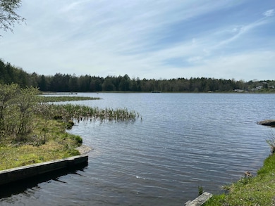 908 W Wadi Rd W, Pocono Lake, PA 18347 - photo 6