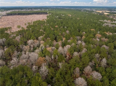 TBD-11 acres Tatoo Rd, Glenmora, LA 71433 - photo 6