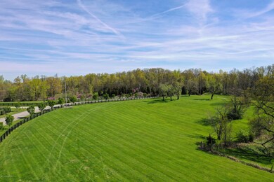 Tim Furlong Jr. - D Willet - Crooked (14