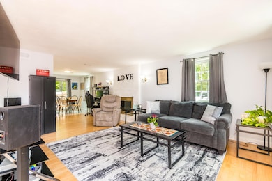 Living room with fireplace
