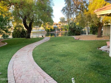 drift backyard