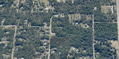 1730 E Bismark St, Hernando, FL 34442 - photo 2