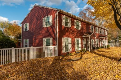 Sunny Side Yard