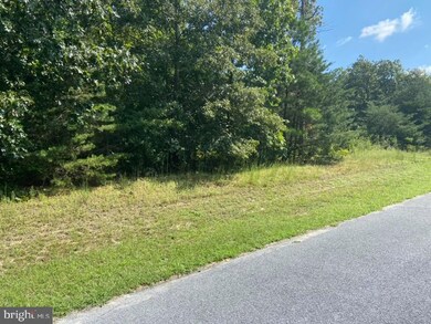 0 Forsythia Dr unit DESU167914, Georgetown, DE 19947 - photo 3