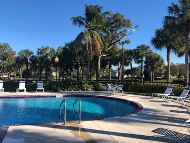 8151 pool