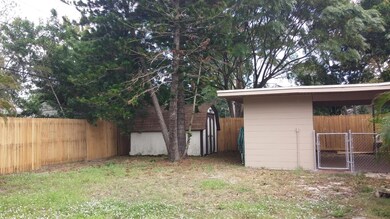 Back Yard -Shed