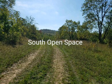 South Open Space #1 View #1