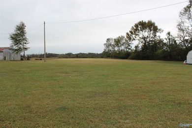 150 5th St NW, Sylvania, AL 35988 - photo 4