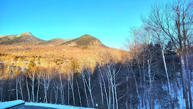 90 Loon Mountain Rd unit 1201D, Lincoln, NH 03251 - photo 7