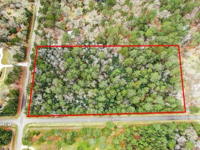 0 Croger, Magnolia, TX 77354 - photo 4