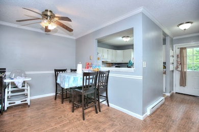 121 Lexington Ave unit 21, New Haven, CT 06513 - photo 7