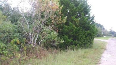 1635 Algoa Rd, Algoa, TX 77511 - photo 3