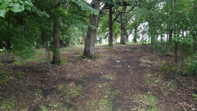 Drive In - Large mature oaks