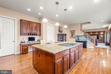 16748 Chestnut Overlook Dr, Purcellville, VA 20132 - photo 7