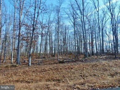 LOT 34 Comforter Ln, North River, VA 22645 - photo 3