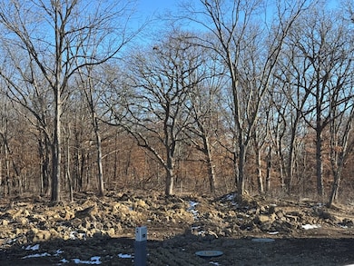 2414 Poplar Ave, Duncombe, IA 50532 - photo 5