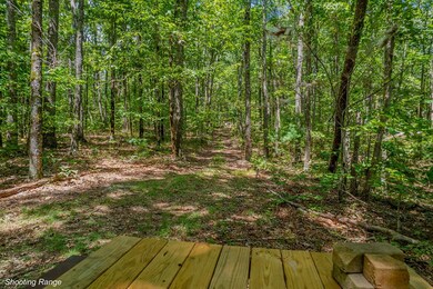 18 ACRES S Piney Spur Rd, Ellijay, GA 30536 - photo 4