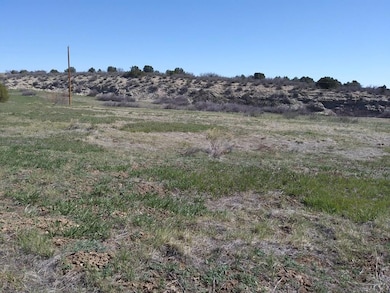 Facing North Standing On Road