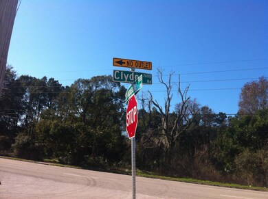 It's the treed lot in the background.