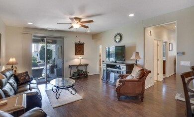 Sun City Festival Spirit for sale 1c