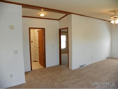 28 Austin Hunter Ln, Leicester, NC 28748 - photo 4