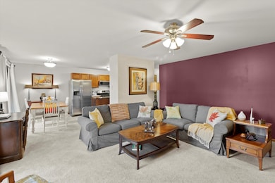 1017 Brookdale Dr unit 1017, Carpentersville, IL 60110 - photo 3