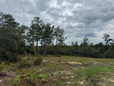 0 NE 135th St unit MFROM709418, Salt Springs, FL 32134 - photo 3