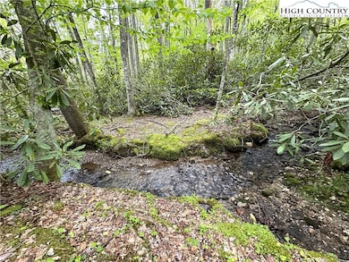 4102 Us Highway 221 S, Blowing Rock, NC 28605 - photo 5
