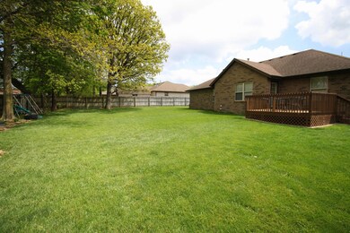 Backyard 1