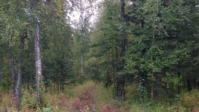 Secluded woods