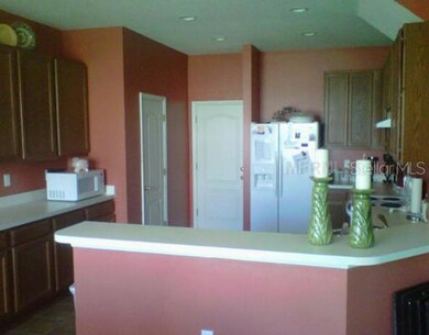 9651 Maxson Dr, Land O Lakes, FL 34638 - photo 4