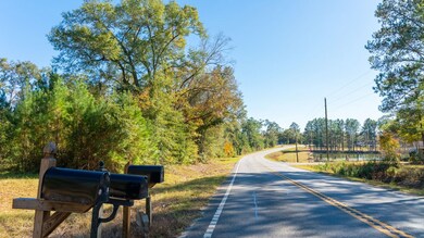 00 State Route 188, Cairo, GA 39827 - photo 3
