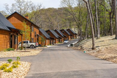Tall Timbers Camp