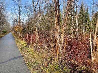 Trail