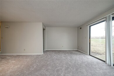 17x16 Living room/dining room combo.  New carpet a