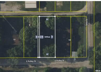 123 E Pulley St, Hurst, IL 62959 - photo 3