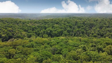 0 Gilliam Rd, Glaze Township, MO 65026 - photo 3