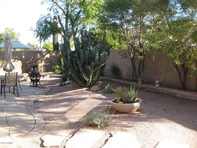 Back yard